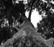 July4th 2009 021